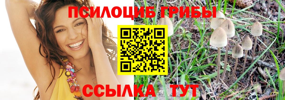 Галлюциногенные грибы мицелий  Вход с VPN  Лысьва 
