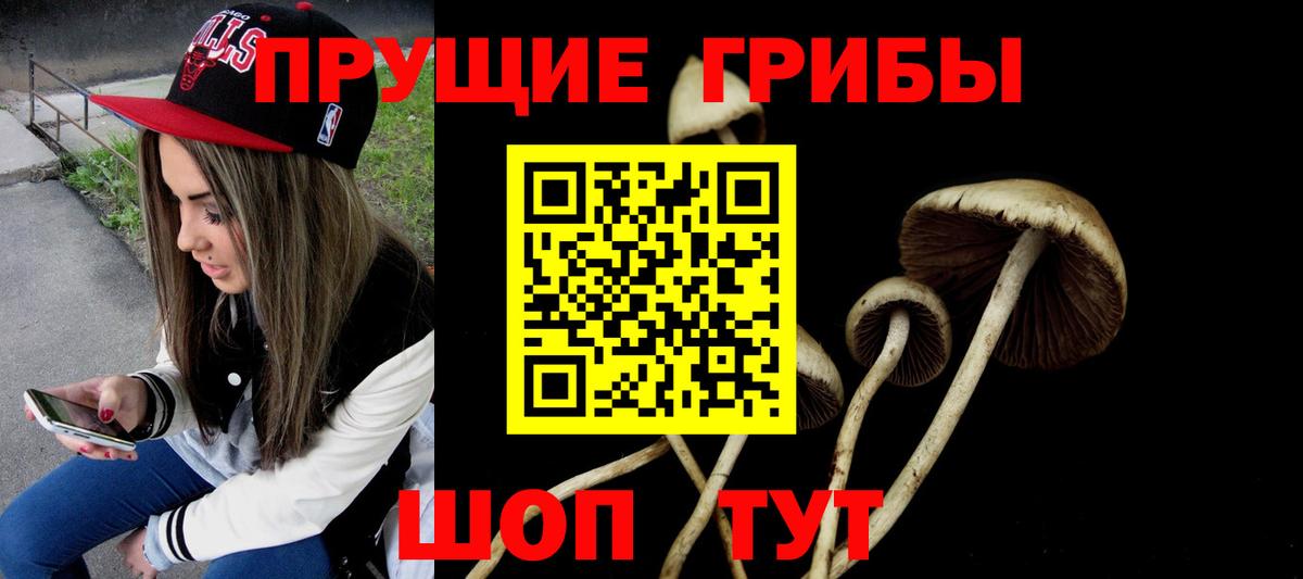 Псилоцибиновые грибы прущие грибы Лысьва